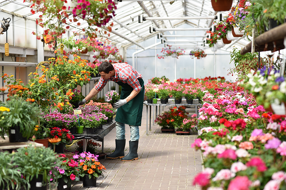Systems and digital solutions for growing garden centres