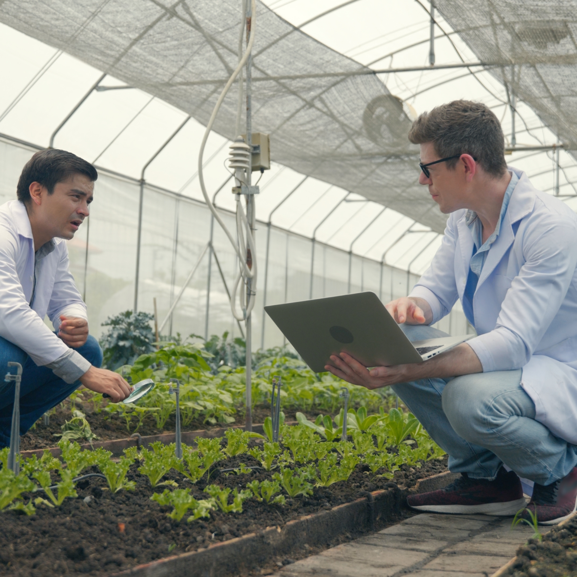 Untitled design (75)