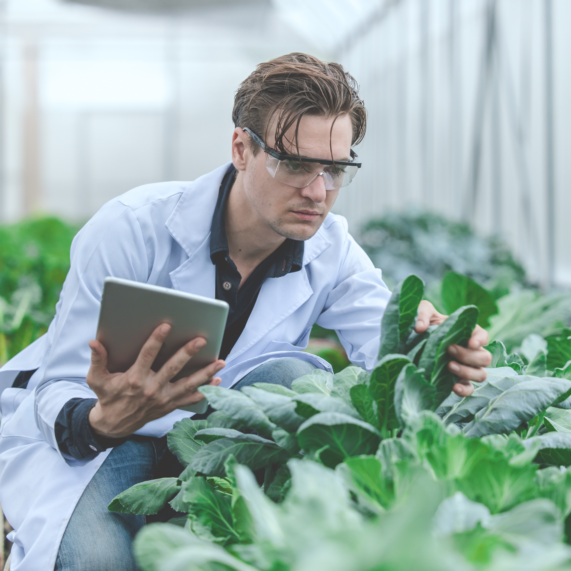 Untitled design (76)