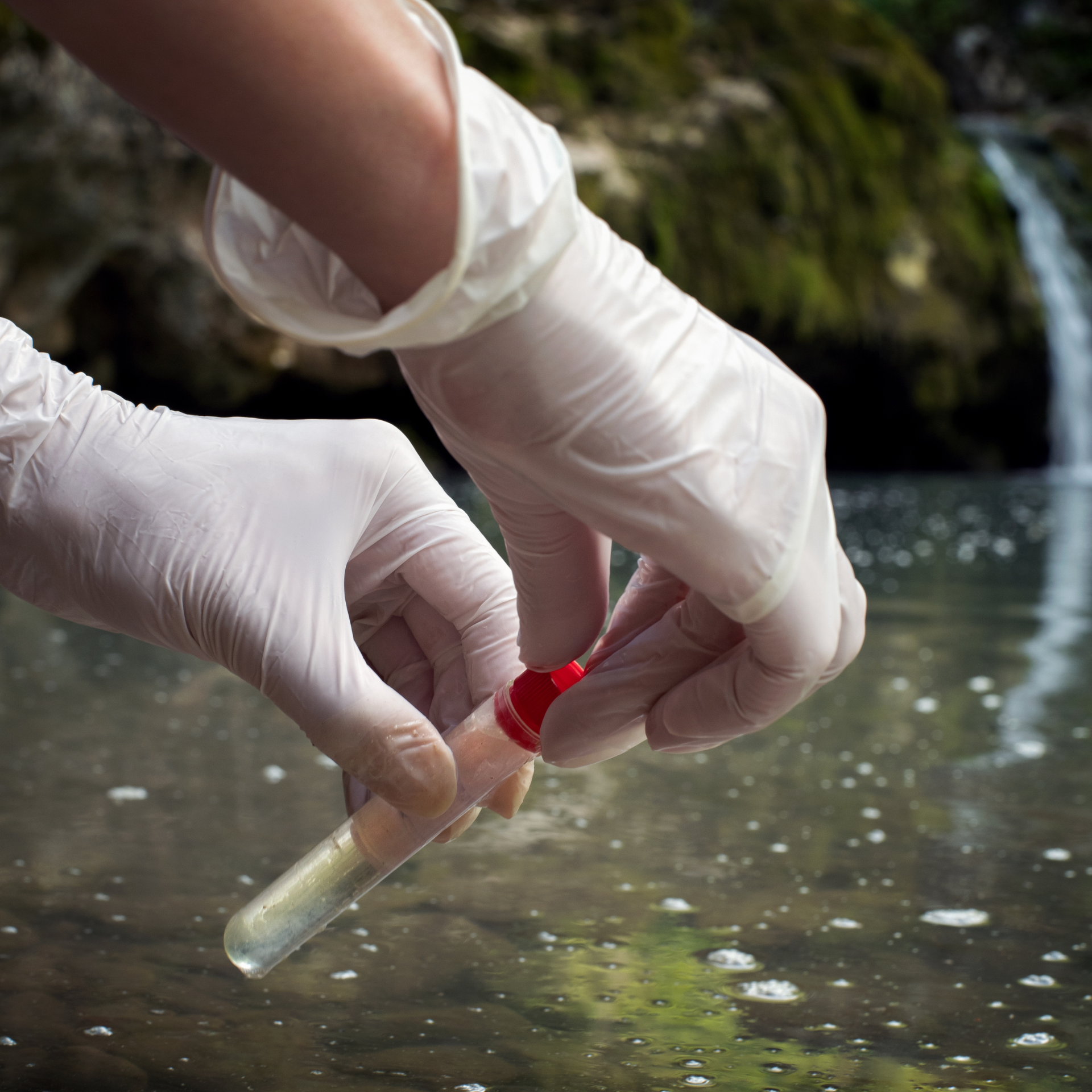 Untitled design (77)