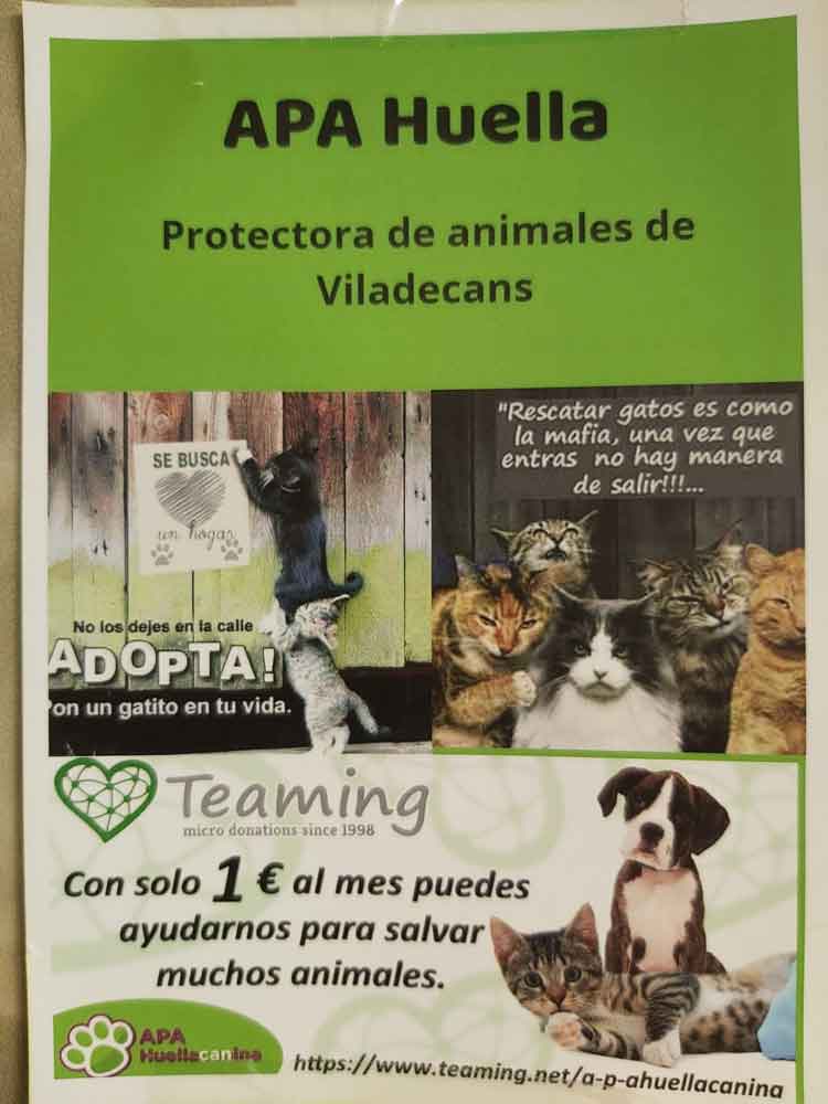 APA-Huella-Canina-CSR-poster