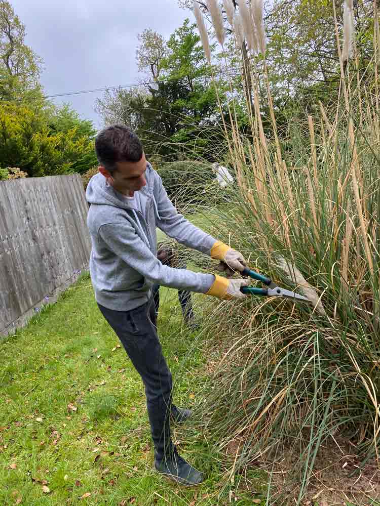 Dynavics_Adam_CSR_CAD