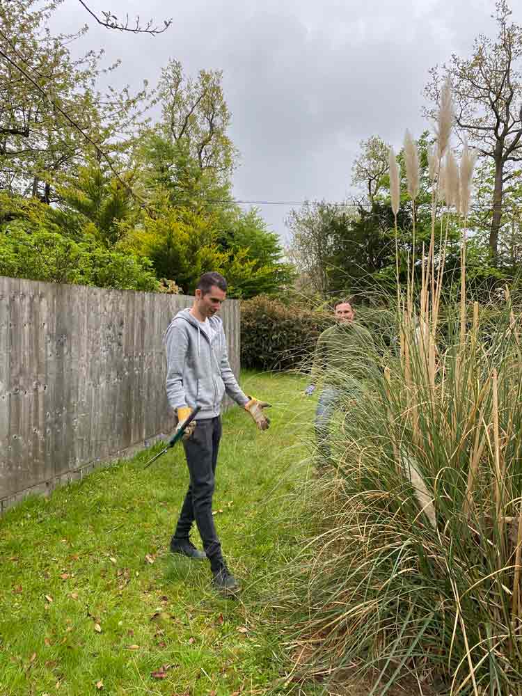 Dynavics_Adam_CSR_CAD_2