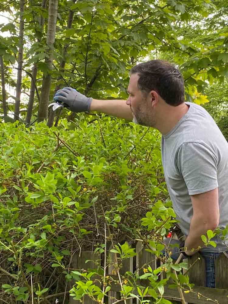 Dynavics_Dan_CSR_CAD