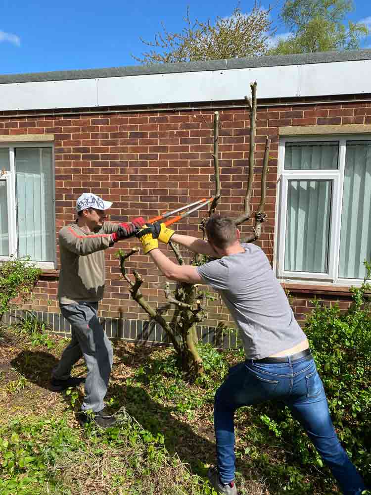 Dynavics_team_CAD_CSR_1