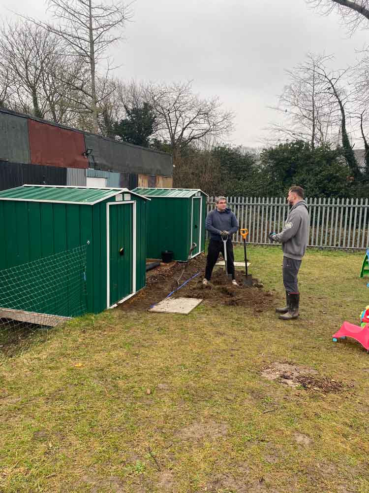 Dynavics_CMPP_Butterflies_Aviator