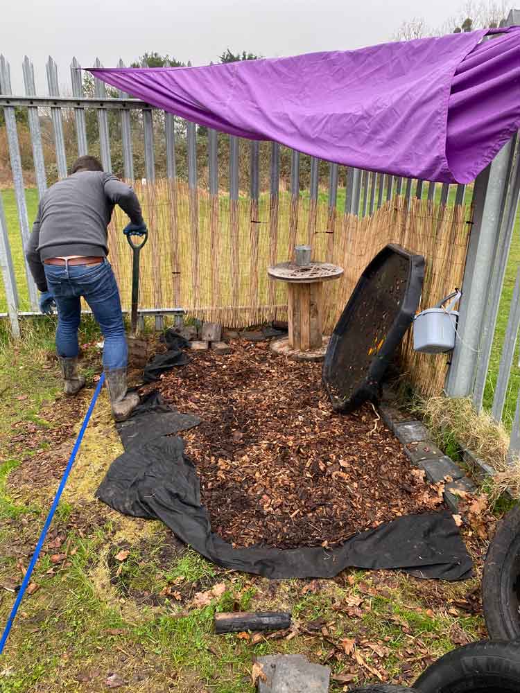 Dynavics_CMPP_Butterflies_Dan