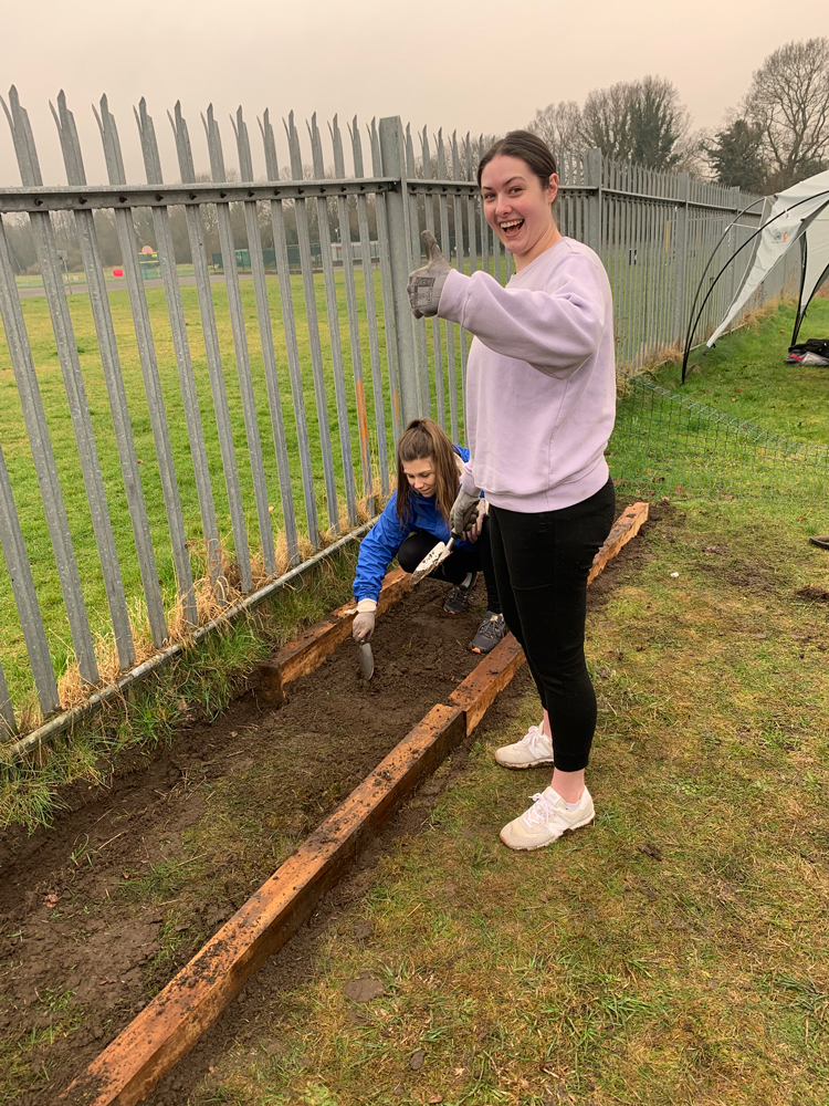 Dynavics_CMPP_Butterflies_Weronika